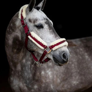 Nouveaux Licol de Cheval Personnalisés en Nylon Robuste 2025 – Les Licol de Cheval Ajustables les Plus Tendance et Confortables - Product Image 5