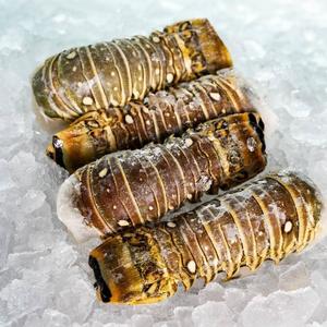 Acheter un emballage de boîte de queue de homard australien séché frais congelé - Product Image 6