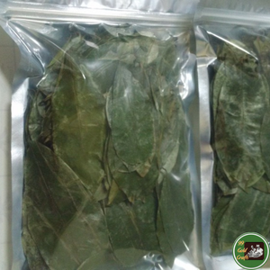 Hojas de Guanábana Secas Procesadas Cuidadosamente, Material Natural de Hoja para Té y Bebidas, Procedentes de Vietnam - Product Image 4