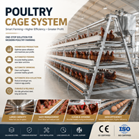 Système de cages en batterie pour poules pondeuses en gros pour la production commerciale d'œufs – Équipement avicole