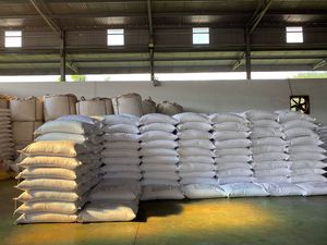 EXPORTACIÓN DE ALTA CALIDAD PARA VIETNAM COCO DESIGADO BAJA GRASA Y ALTA GRASA - Product Image 4