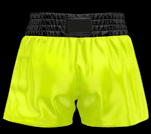 Pantalones cortos de boxeo para hombre Muay Thai, pantalones cortos de boxeo MMA con estampado de sublimación, pantalones de entrenamiento BJJ, ropa deportiva de LICRA - Product Image 2