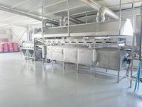 RVS continue bandfriteuse voor pinda's, cashewnoten, maïs en andere voedingsmiddelen, 900 kg/uur, 2 jaar garantie, SUISER MAKINE