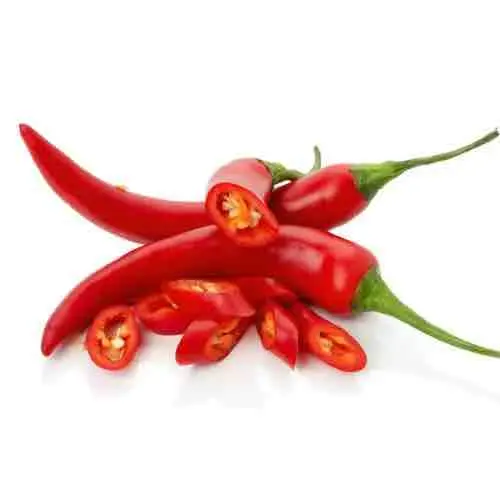 Contenedor China Fresh Frozen Cut en cubitos Hot Green Red Chili Pepper Chili Raw