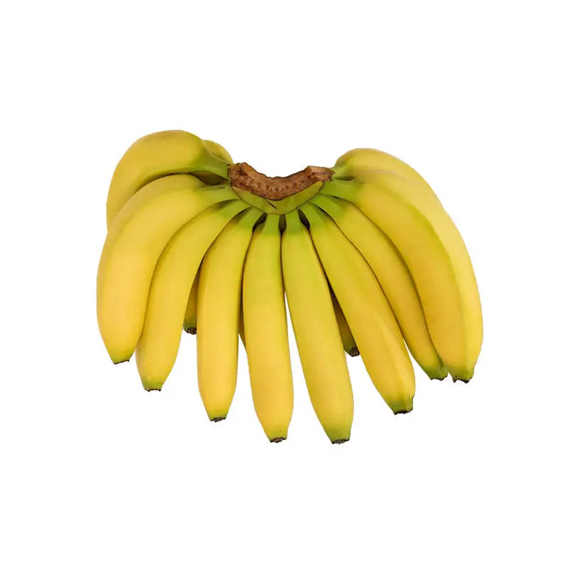Cavendish กล้วยเขียวกล้วยสด Cavendish กล้วยสีธรรมชาติรสหวาน