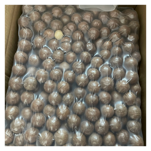 Noix de Macca du Vietnam Noix de Macca séchées à l'exportation avec huile riche et teneur en protéines Saveur naturelle Direct OEM Emballage personnalisé - Product Image 6