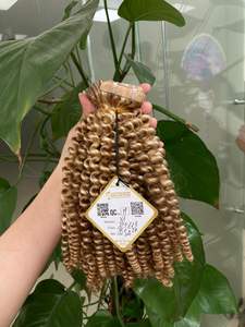 Cheveux vierges vietnamiens birmans non traités trame ondulée droite naturelle crue vendeurs de cheveux humains indiens génie vietnamien vague de corps - Product Image 4