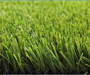 Soccer Grass Taishan Synthetic Turf Artificial Grass Football Landscape Putting Green Latex Sport Soccer Garden