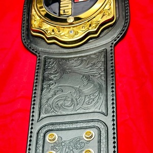 Ceinture de champion personnalisée, plaques métalliques durables de haute qualité, légères, compétitions de lutte, gravure personnalisée, taille personnalisée - Product Image 6