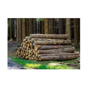 Bûches rondes en épicéa-Foresterie durable - Product Image 5