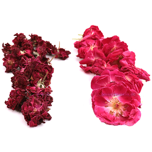 High Purity 99% <b>Dried</b> Red Rose Flower | Traditional Herbal Remedies 3-Year Shelf Life - Product Image 4