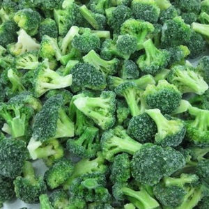 Brocoli surgelé en gros |   Exportateur de légumes surgelés de qualité supérieure - Product Image 3