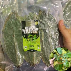 Hojas de Graviola orgánica Premium de Vietnam | Hojas de té de Guanábana secadas al sol para productos herbales y exportación - Product Image 1