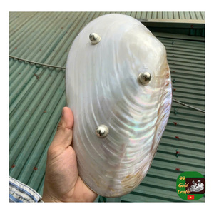 Plato y cuchara redondos de nácar, plato hecho a mano para decoración multiusos, plato redondo de nácar para jabón y decoración - Product Image 4