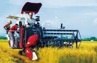 Yanmar Thailand YH850 D23W 85HP moissonneuse-batteuse de riz à haute efficacité moissonneuse batteuse pour champs humides moteur de prix usine