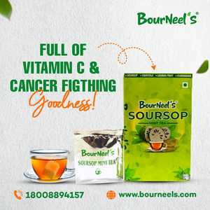 Caja de té de menta de Graviola BourNeels, 25 bolsas, bolsas de té de inmersión en el interior, sin conservantes, alta vitamina C, té de menta de Graviola Kadha - Product Image 5