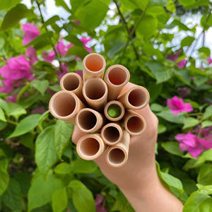 Pajitas de bambú ecológicas con logotipo personalizado Pajitas de bambú reutilizables Precio barato y alta calidad por los fabricantes Eco2go Vietnam - Product Image 5