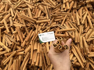 <b>Cinnamon</b> Cassia Stick Cigarette Best PRICE Wholesales Vietnamese Very High Quality for Export - Product Image 5