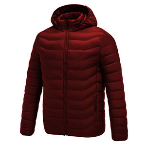 Chaqueta de Invierno Acolchada para Hombre, Corte Entallado, con Logotipo Personalizado en la Parte Delantera, Diseño Moderno de Chaqueta Inflada - Product Image 4