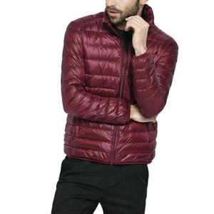 Veste matelassée pour hommes avec logo, vêtements d'hiver, vestes légères et coupe-vent de haute qualité, nouvel arrivage - Product Image 3