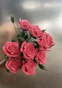 ดอกไม้โครเชต์ที่ทำด้วยมือสดใหม่ตลอดกาลและทำด้วยความระมัดระวัง - Product Image 2