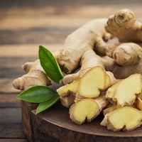 Gingembre frais à bas prix/Shoga/Saenggang-Légumes racines de gingembre frais naturels du Vietnam (WA: + 84362512699)
