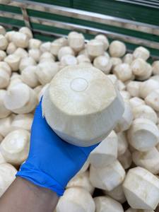 Noix de <span class=keywords><strong>coco</strong></span> fraîches faciles à ouvrir Eau de <span class=keywords><strong>coco</strong></span> naturelle en déplacement au meilleur prix - Product Image 2