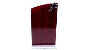 Placa de diseño de madera hecha a mano de calidad superior para premios escolares directamente de la India - Product Image 2