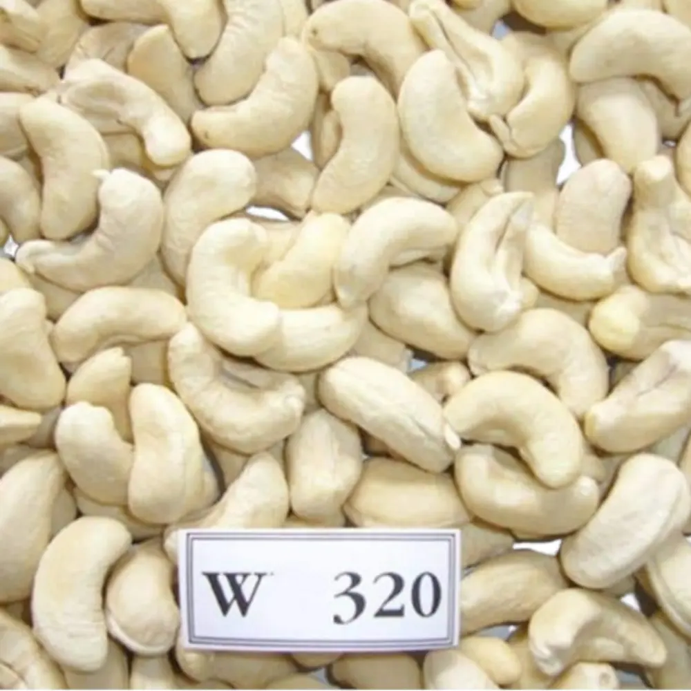 Grosir Kacang Mete Mentah Kualitas Tinggi Kacang Mete Harga Murah untuk Kacang Mete W320 W240 Kemasan OEM, ODM