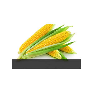 อาหารสัตว์ข้าวโพดสีเหลือง/ข้าวโพดสีเหลืองสัตว์กินมนุษย์ - Product Image 4