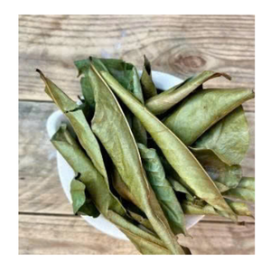 Dried Soursop Leaves Available In Large Quantity Vietnam Dried Soursop Leaves For Brewing - Product Image 3