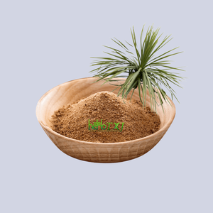 Pabrik grosir Yucca ekstrak bubuk 10%-98% Saponins/Yucca Shidigero ekstrak Yucconin - Product Image 1