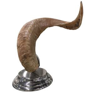 Cuerno de Shofar pulido con diseño de pez, decoración del hogar, cuerno de carnero, cuerno para beber para ungir, diseño de pez pintado a la venta - Product Image 1