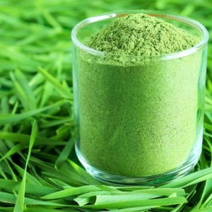 Erba di grano di alta qualità in polvere integratori a base di erbe erba di grano naturale in polvere