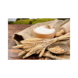 Farine de blé en vente, prix bas, approvisionnement en gros, poudre de blé de qualité supérieure - Product Image 5