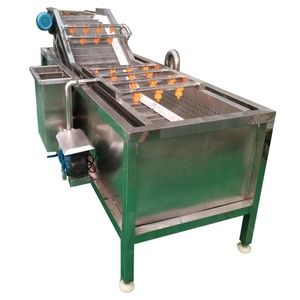 Machine à laver les légumes et fruits automatique à haut rendement, entraînée par un moteur, avec rouleaux brosse et nettoyage à bulles en SUS304 - Product Image 6