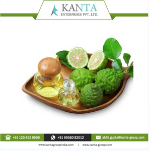 Aromatherapy Pure Essential Oil Bergamot Available in bulk packing - Product Image 2