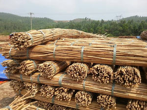 Canne en rotin à prix compétitif Matériau fabriqué au Vietnam pour la fabrication de meubles de décoration intérieure - Product Image 2