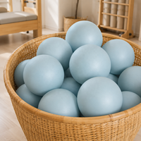 Ballon d'exercice souple en PVC, écologique, léger, pour Pilates et massage, anti-explosion, durable, compact, accessoire d'entraînement, pompe à aiguille