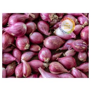 Cebollín Morado Seco al por Mayor de Vietnam para Fabricantes de Condimentos e Importadores - Product Image 1