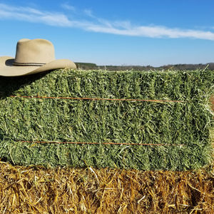 Suplemento de proteína Animal de heno de alfalfa de grado superior de alta calidad para perros, peces, ganado, cerdo, caballo, comida para mascotas, bolsa empaquetada para venta a granel - Product Image 5