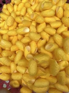 Coquilles de cocon naturelles de ver à soie pour la décoration d'art à la maison, les accessoires et les coffrets cadeaux exportation du Vietnam - Product Image 6