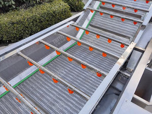 Laveuse de légumes rotative professionnelle avec certificat CE - Product Image 1