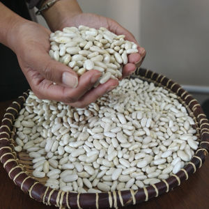 Haricots longs blancs de qualité supérieure de haute qualité Vente en gros d'usine Aliments surgelés dans des sacs d'emballage - Product Image 5