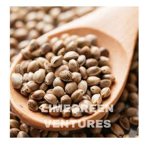 Graines de cœurs de chanvre décortiquées biologiques à double langue, exportation en gros depuis l'Inde, durée de conservation de 12 mois - Product Image 5