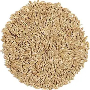 2022 Wholesale Best Quality Canary Seed For Sale / Buy Canary Seeds Bulk Processed Natural Birds Available In Bulk From Germany