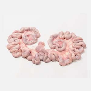 Utérus de porc congelé pour la cuisson, 1 kg-2 kg/paquet, découpé à la main, fumé, prix compétitif, exportations en vrac - Product Image 5