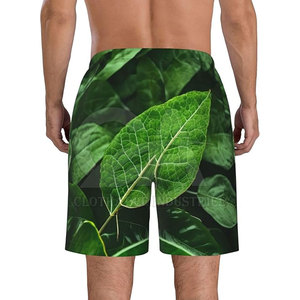<b>Men</b> Quick Dry Swim <b>Trunks</b> Custom Logo Beach Shorts Wholesale Summer Swimwear OEM <b>Men</b> Swim Shorts - Product Image 3