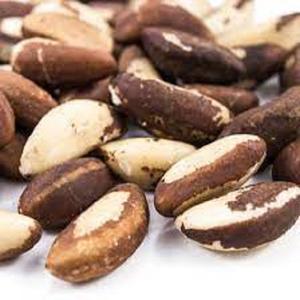 Nueces de Brasil frescas secas fritas salvajes de alta proteína certificadas HACCP de alta calidad de Perú Embalaje de estilo personalizado - Product Image 4