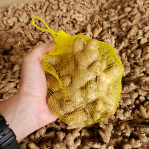 รากขิงสด - Product Image 5